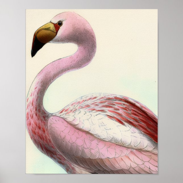 Vintage Flamingo Poster (Vorne)