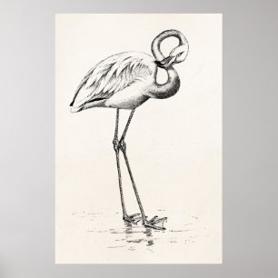 Vintage Flamingo-Vogel-Antiken-Vogel-Schablone Poster