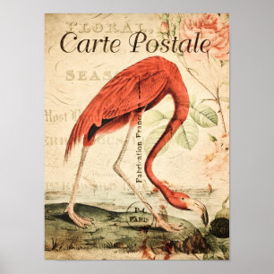 Vintage Flamingo Vogel Französischer Blumenposter Poster