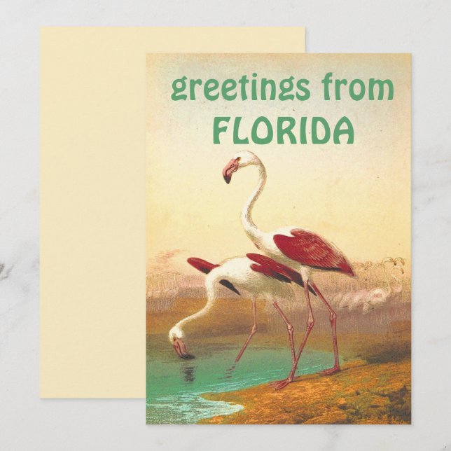 Vintage Flamingos-Grüße von Florida Travel Karte (Vorne/Hinten)