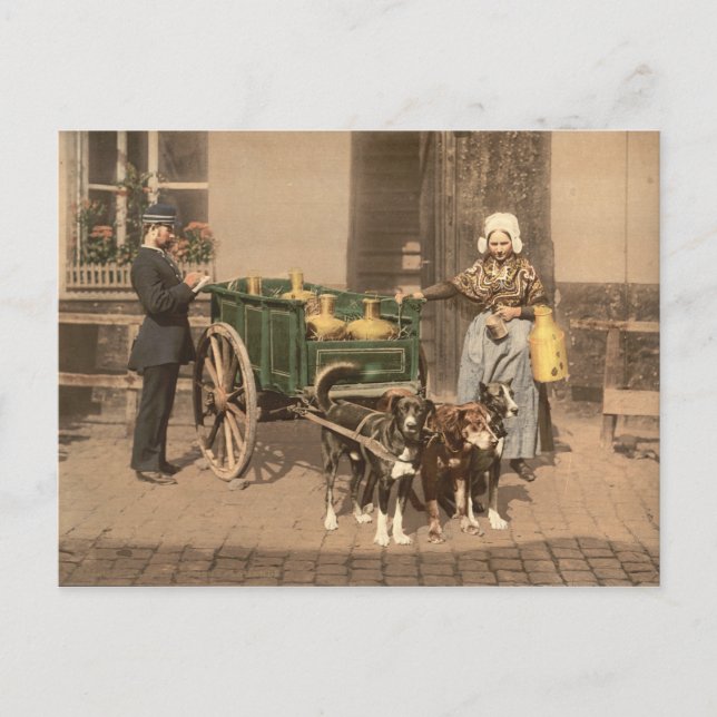 Vintage flämische Milchmädchen Postkarte (Vorderseite)