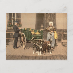 Vintage Flämische Milchmagd Postkarte