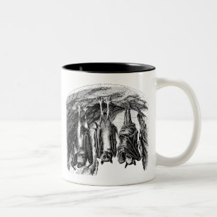 Vintage Fledermaus 1800er Jahre Flughund Fledermau Zweifarbige Tasse