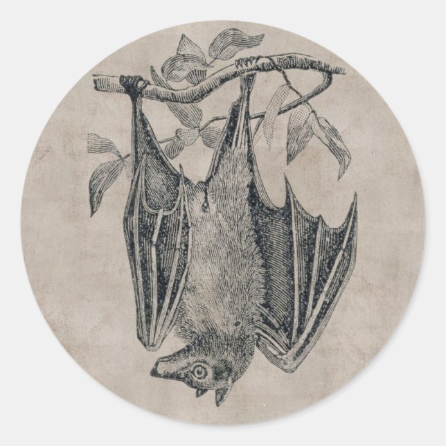 Vintage Fledermaus Aufkleber (Vorderseite)