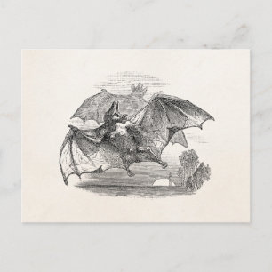 Vintage Fledermäuse Personalisierte Retro Fledermä Postkarte