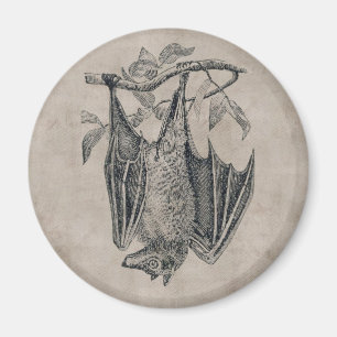 Vintage Fledermausmagnet Magnet