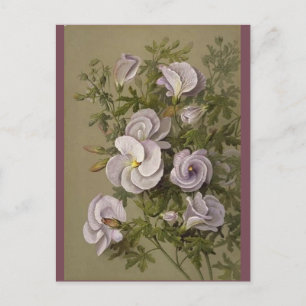 Vintage Flieder Hibiskus Lila Blumen Floral Postkarte