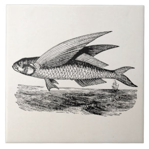 Vintage Fliegende Fische - Vorlage für Wasserfisch Fliese