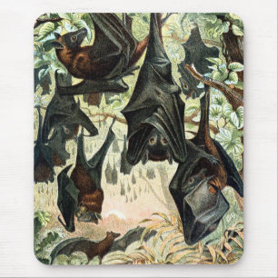 Vintage-Fliegender Fuchs-Fledermaus-Akademie-Illus Mousepad