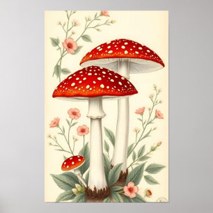 Vintage Fliegenpilz rote und weiße Pilze floral Poster