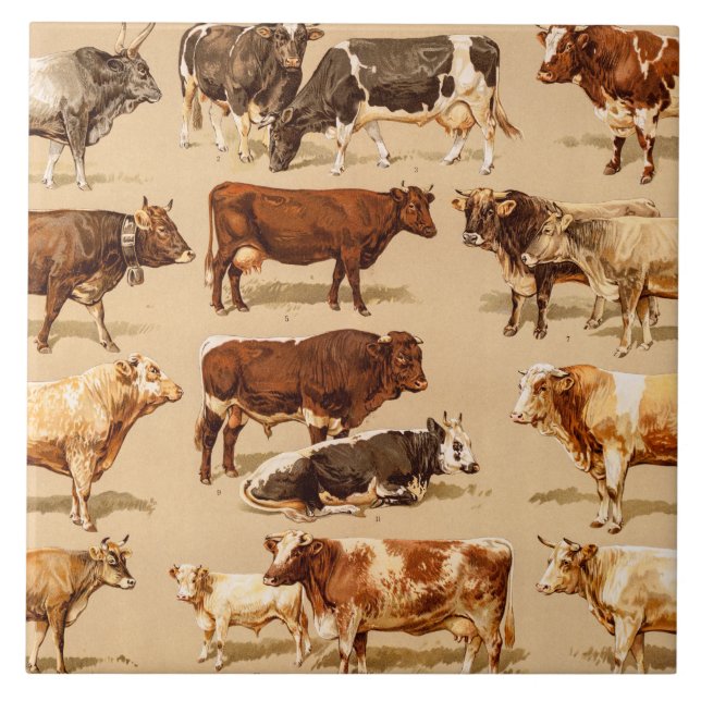 Vintage Fliese (Vorderseite)