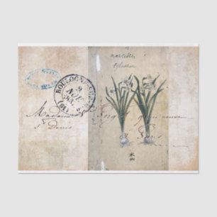 Vintage Flora-botanisches Paris-Porto-Seidenpapier Seidenpapier