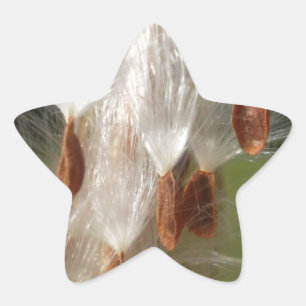 Vintage Flora und Fauna Milkweeds Floating.jpg Stern-Aufkleber