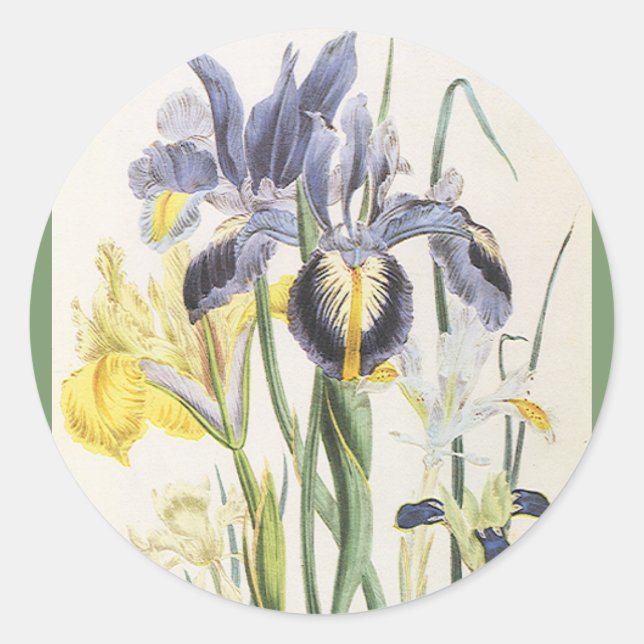 Vintage Floral Botanik, Garden Iris Blume Runder Aufkleber (Vorderseite)