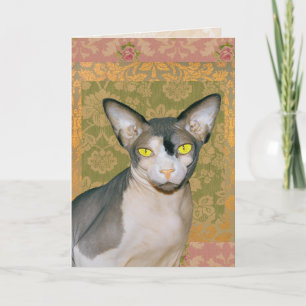 Vintage florale Damask Sphynx Cat Geburtstag Karte