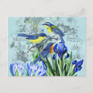 Vintage Florale Singvögel Bekleidung und Geschenke Postkarte