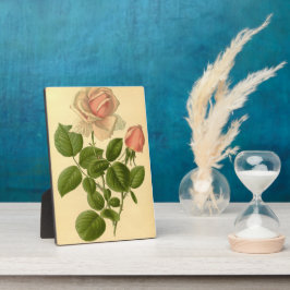 Vintage Florentiner Hybrid Tee Rose La France Fotoplatte