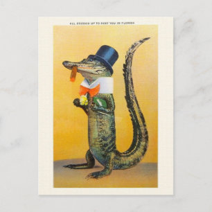 Vintage-Florida-Alligator-Postkarte Postkarte
