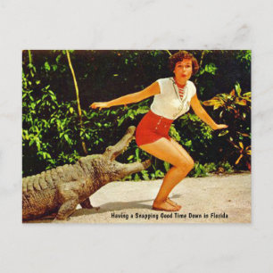 Vintage-Florida-Alligator-Reisepostkarte Postkarte