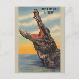 Vintage Florida-Alligatorpostkarte Postkarte