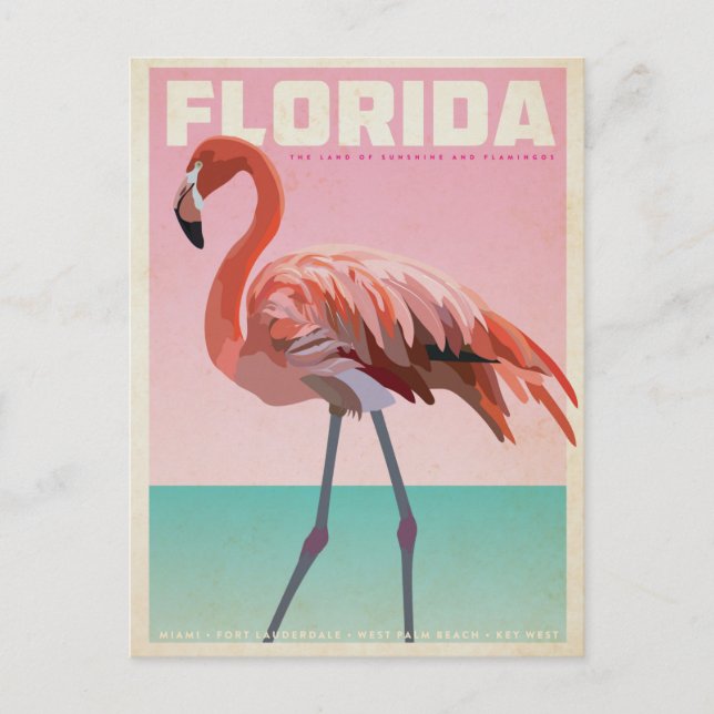 Vintage florida flamigo travel postcard postkarte (Vorderseite)