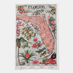 Vintage Florida-Karte Geschirrtuch