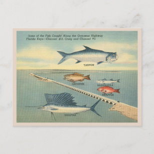 Vintage Florida Keys Fischen Postkarte