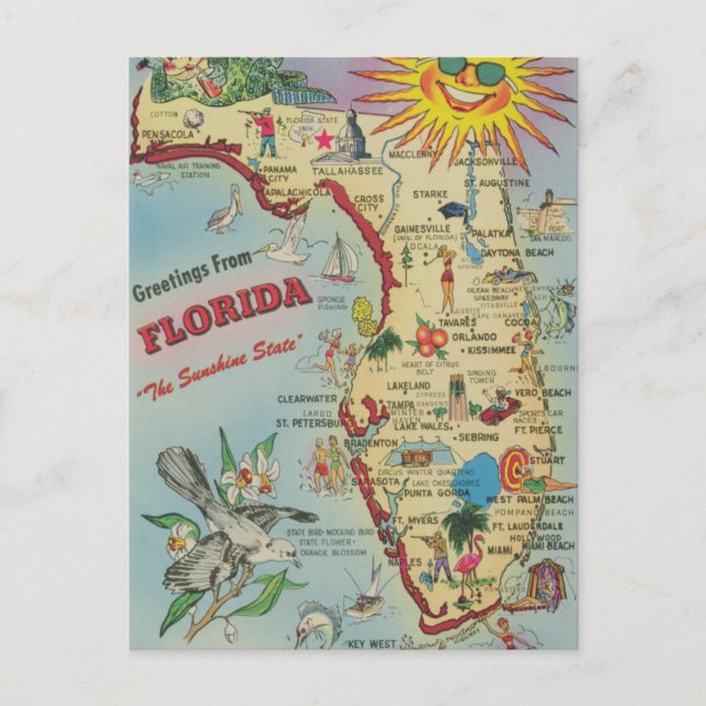 Vintage Florida Map Moving/ Relocation Postcard Postkarte (Vorderseite)