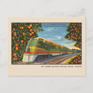 Vintage Florida Orange Blossom Special Zug Postkarte
