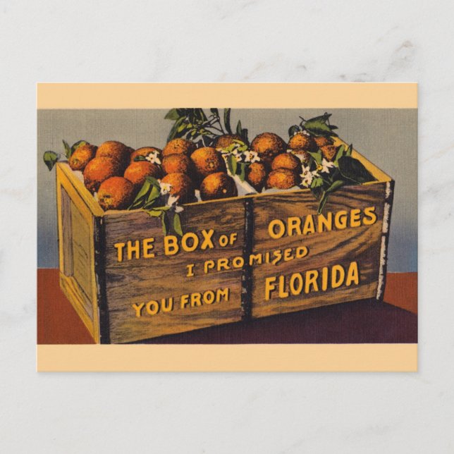 Vintage Florida-Orangen-Postkarte Postkarte (Vorderseite)