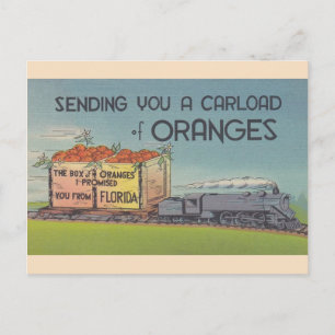 Vintage-Florida-Orangen-Postkarte Postkarte