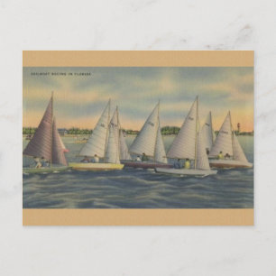 Vintage-Florida-Segelschiff-Renn-Postkarte Postkarte