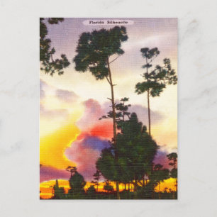 Vintage Florida Silhouette Sunrise Postkarte