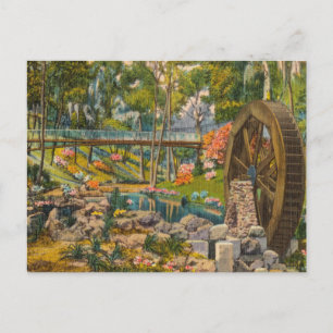 Vintage, Florida, Tropischer See Versteckte Bucht Postkarte