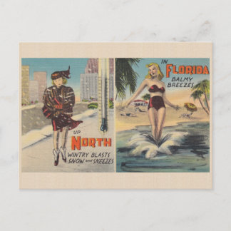 Vintage Florida Winter Postkarte