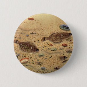 Vintage Floundern, Meeresfauna und -flatter Button