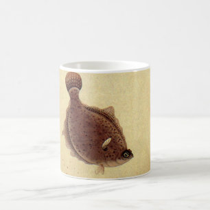 Vintage Floundern, Meeresfauna und -flatter Kaffeetasse