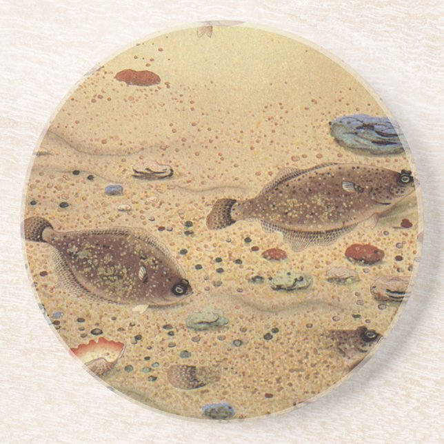 Vintage Floundern, Meeresfauna und -flatter Sandstein Untersetzer (Vorne)