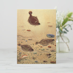 Vintage Floundern Plattfisch Einladung