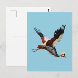 Vintage Flug-Kunst Südafrikanischer Kronenkranich Postkarte