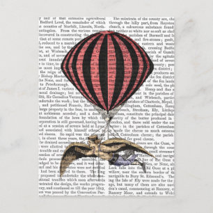 Vintage Flugmaschine Postkarte