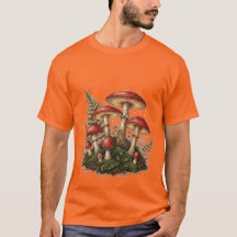 Vintage Fly Agaric Mushroom Illustration