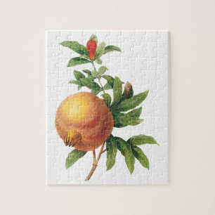 Vintage Food Fruit, Granatapfel von Redoute Puzzle