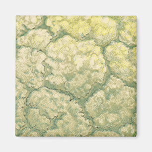 Vintage Food Vegetables Veggies Cauliflower Magnet