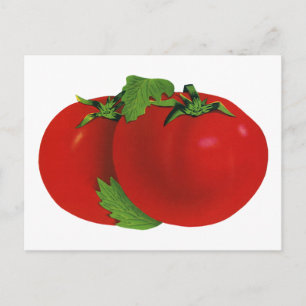 Vintage Foods, Bio-Rot reife alte Tomatensorte Postkarte