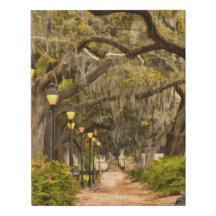 Vintage Forsyth Park-Reise-Fotografie - Savanne