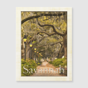 Vintage Forsyth Park - Savannah, GA, Fotografie Magnetkarte
