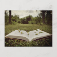 Vintage-Foto | Buch und Wildblumen Naturszene