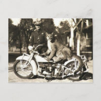Vintage-Foto eines Polizeibeamten auf dem Motorrad