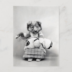 Vintage-Foto Hund Postkarte